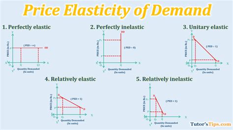 Price Elasticity of Demand-Types and its Determinants - Tutor's Tips