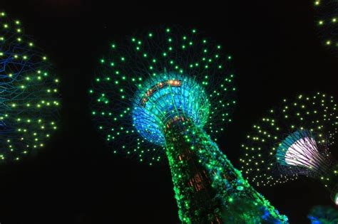 Premium Photo | Night show supertrees gardens by the bay a nature park