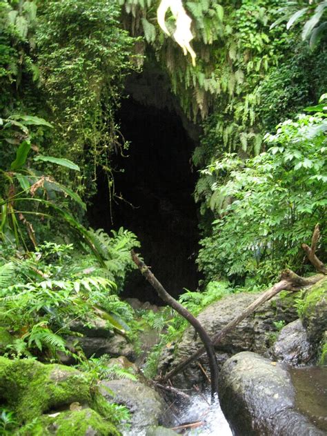 jungle cave entrance - Google Search | Cave entrance, Beautiful nature, Welcome to the jungle