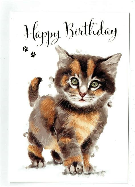 Happy Birthday Cats Cute - Foto Kolekcija