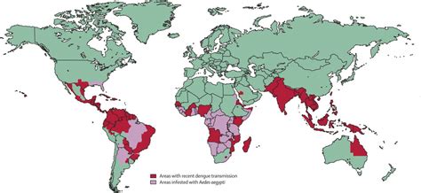 Topik ke-326: Aedes Aegypti, Nyamuk Harimau Asia - Dr. Indra K. Muhtadi - "dokter plus"