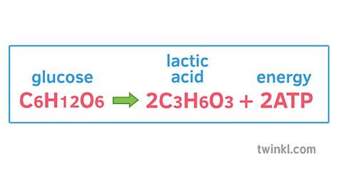 Perfect What Is The Correct Word Equation For Aerobic Respiration Class 11 12 Physics Formulae Pdf