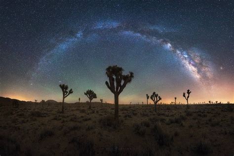 Joshua Tree Milky Way Panorama - Michael Shainblum Photography