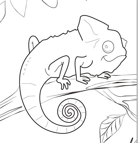 Chameleon Outline Drawing at GetDrawings | Free download