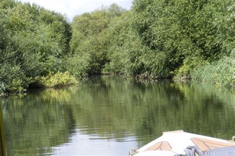 Grove Ferry River Trips, Canterbury | 5 reviews | Tourist Attraction - FreeIndex