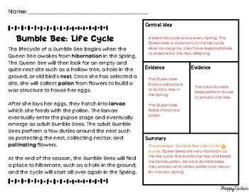 Freebie Main Idea- Bumble Bee Life Cycle PLUS Starters | TPT