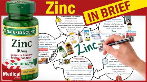 ZINC: Oversikt, bruksområder, bivirkninger, forholdsregler, interaksjoner, dosering og ...