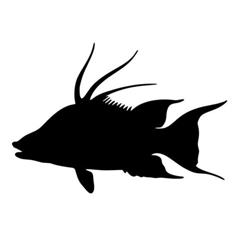 Grouper Silhouette at GetDrawings | Free download