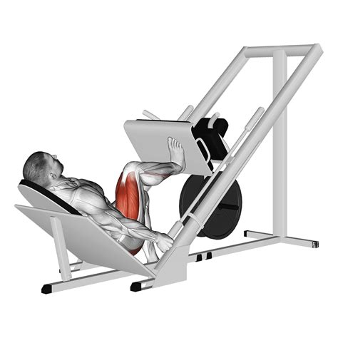 Leg Press: Benefits, Muscles Worked, and More - Inspire US