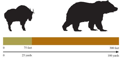 Bear Safety - Glacier National Park (U.S. National Park Service)