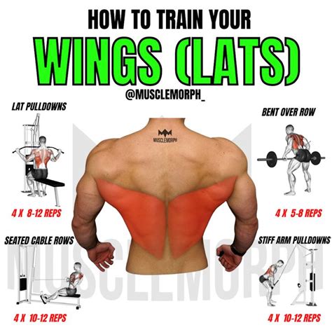 GET A WIDE BACK WORKOUT | Wings workout, Bodybuilding workout plan ...