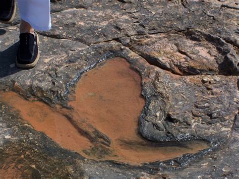 FAR OUT ADVENTURES - AUSTRALIA: Dinosaur footprints - Broome