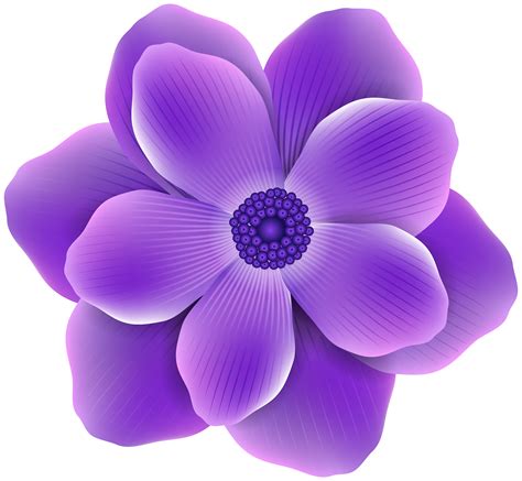 Purple flower png, Purple flower png Transparent FREE for download on WebStockReview 2024