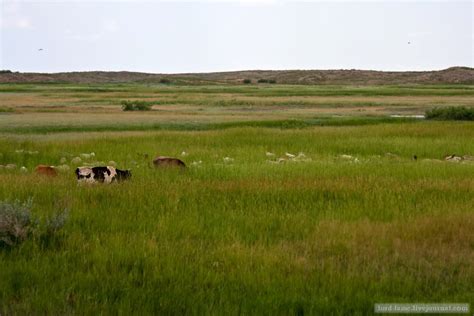 The landscapes of Kazakhstan steppe · Kazakhstan travel and tourism blog