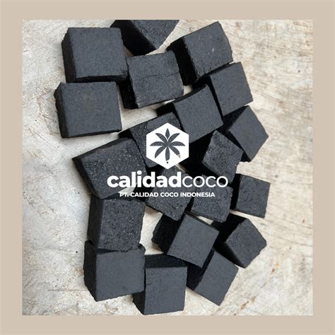 Coconut shell charcoal briquettes | Inaexport