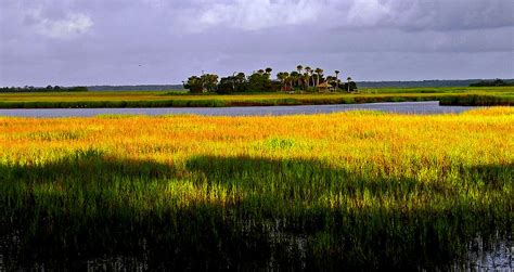 Marsh Island in Morning Photograph by Patricia Greer - Pixels