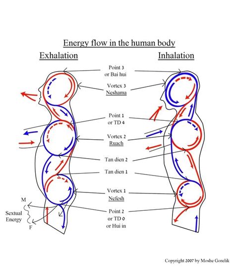 Pin by Mahbod Movaffaghi on Pranayama | Energy healing reiki, Body energy flow, Qigong