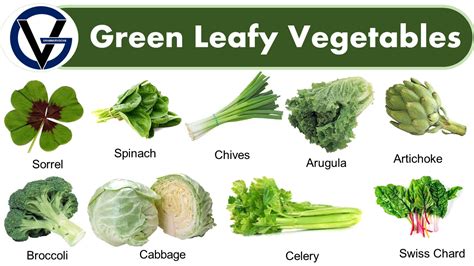 50 Green Leafy Vegetables Names in English with Pictures - GrammarVocab