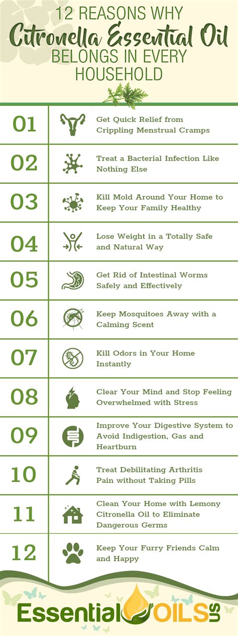 12 Reasons Why Citronella Essential Oil Belongs In Every Household | Essential Oils Us