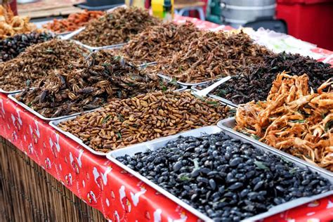 Do They Eat Insects In Thailand? – Go Every Corner!