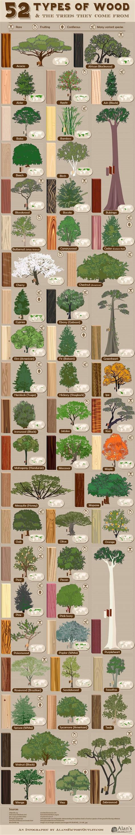 Wood Profits - 52 Types of Wood and the Trees They Come From - AlansFactoryOutle ...