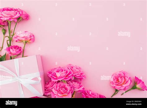 Floral frame of pink roses flowers and gift box on pink background ...