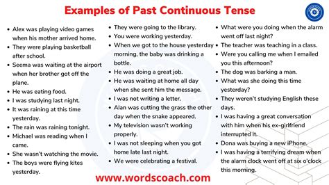 Examples of Past Continuous Tense - Word Coach