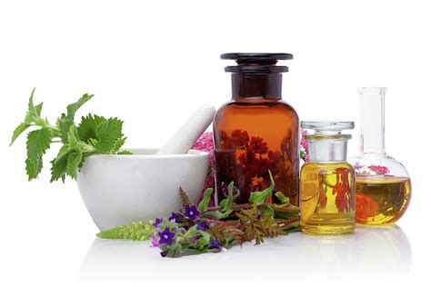 Production of natural medicines, compositions. Herbal medicine ...