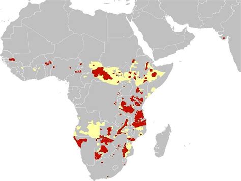 african lion habitat map Lion cats range map disappearing lions ...