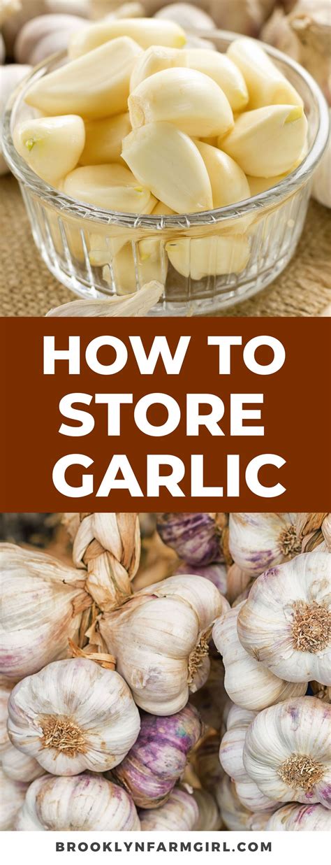 How to Store Garlic For a Long Time | How to store garlic, Garlic ...