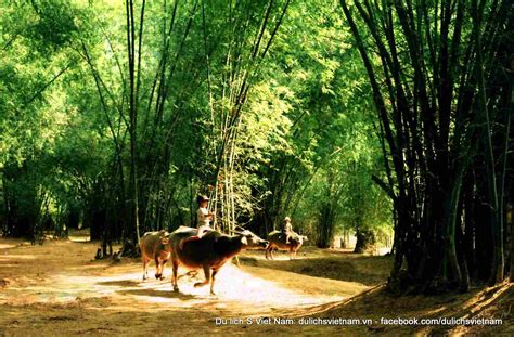 - Discovery Vietnamese village, Village Gate, Vietnamese daily life ...