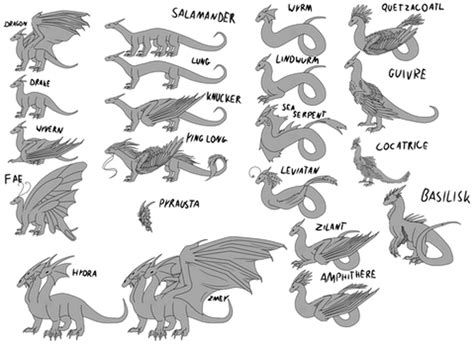 Types of Dragons | Fandom