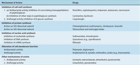 Antimicrobial Drugs: Mechanism of Action | Basicmedical Key