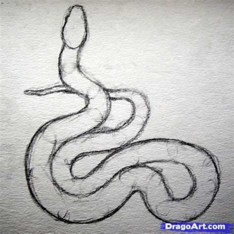 How to Draw a Realistic Snake, Draw Real Snake, Step by Step, Snakes, Animals, FREE Online ...