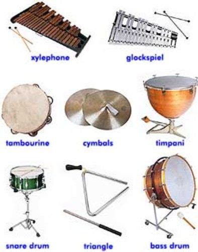 Percussion | Percussion instruments, Percussion, Musical instruments