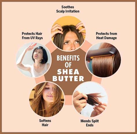 The Health and Beauty Benefits of Shea Butter