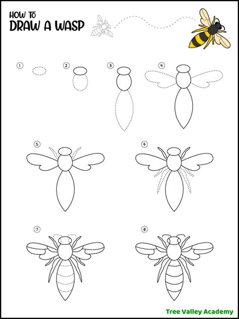 How to Draw A Wasp - Tree Valley Academy