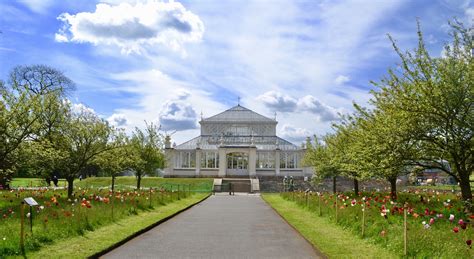 Glasshouse glory at Kew Gardens