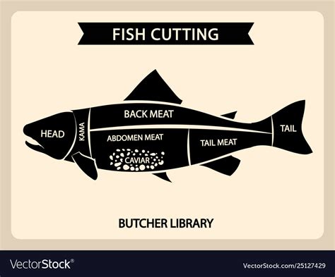 Fish meat cutting vintage chart cuts guide Vector Image