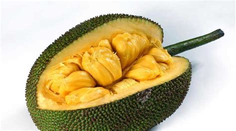 Jackfruit: A fruit, a vegetable and everything in between | The Indian Express