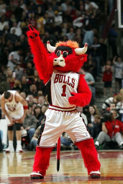 Take a picture with Benny the bull! :) | Esportes, Basquete, Nba