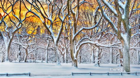 Bing Winter Wallpapers - Top Free Bing Winter Backgrounds - WallpaperAccess