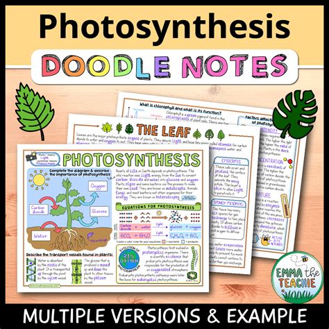 Photosynthesis Doodle Notes - Emmatheteachie