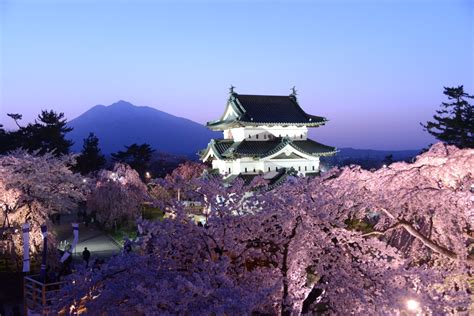 Hirosaki Cherry Blossom Festival｜Events｜Amazing AOMORI - The Official Aomori Travel Guide