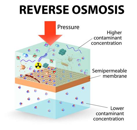 What is Reverse Osmosis & How Does It Work?