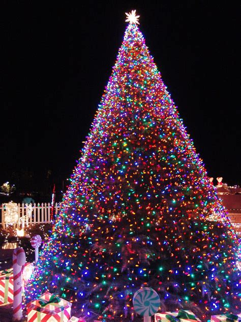 Christmas Trees With Lights Built In – Idalias Salon