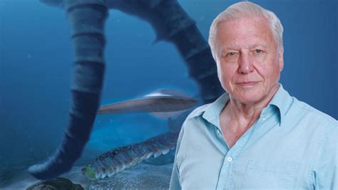 David Attenborough's First Life : ABC iview