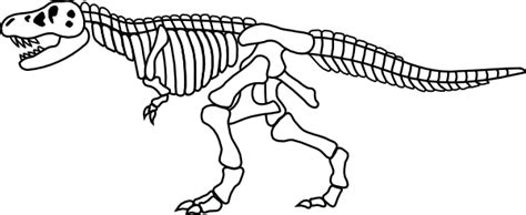 Dinosaur Bones Coloring Pages Printable Coloring Pages