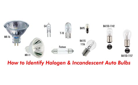 Automotive Light Bulb Cross Reference Chart | Americanwarmoms.org