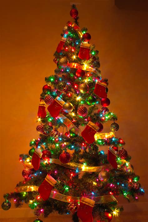File:Y Christmas Tree 2.jpg - Wikipedia, the free encyclopedia